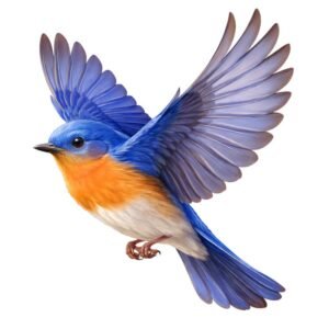 Bird Clipart PNG – Spring Nature Illustration